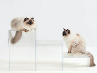 Clear Cat Perch Blocks