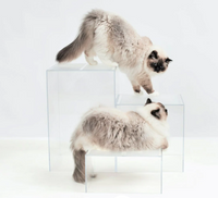 Clear Cat Perch Blocks